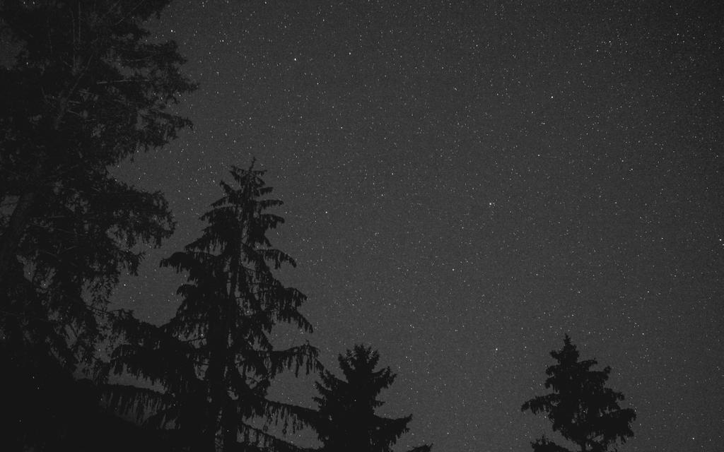 boochdoogans's tweet photo. Welcome to the woods
#LetsShareVT #LetTheAdventuresBegin #BringYourOwnLight #VT #BTV http://t.co/uVdwfm1vc4