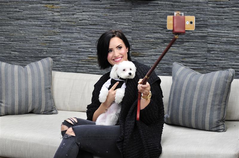 billboard's tweet photo. RIP Buddy: Demi Lovato is "heartbroken" over the sudden death of her beloved dog http://t.co/5TWVeXtW7p http://t.co/T0eyEdGadR