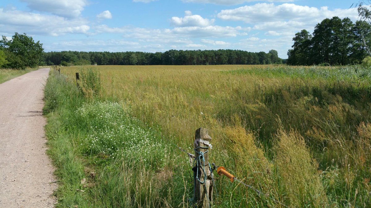 janole's tweet image. Rieben, Brandenburg. #LaterTweet #AppBug #NoNetwork