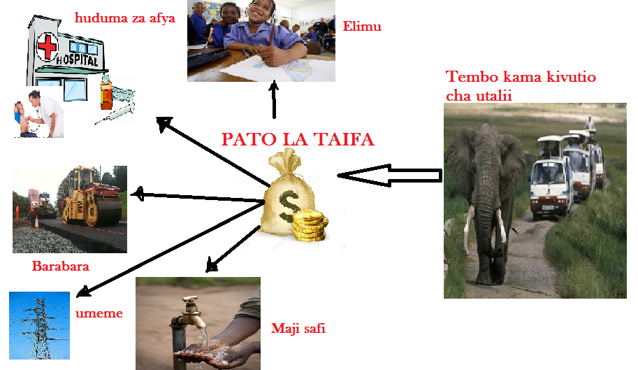 Fp_wildlife's tweet photo. Tembo kama kivutio cha utalii anamchango wake katika pato la taifa. http://t.co/Jcs74hjfvG
