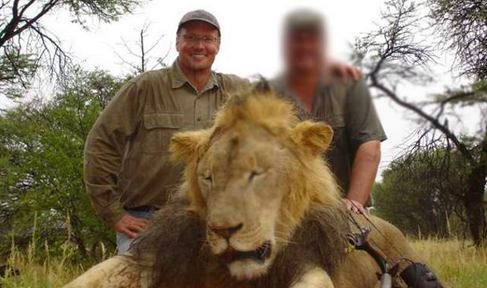 Bullet_News's tweet photo. Two in court over killing of Cecil the lion - https://t.co/DdBoMVzkbq  #CecilTheLion #Cecil #lionkiller #WalterPalmer http://t.co/F3mWtj0sd6