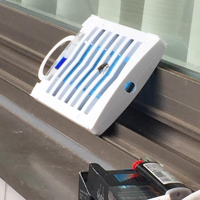 「虫除けなんか意味ないよーワラワラ」 て感じっす。。 http://t.co/FtzEVlKBQ4