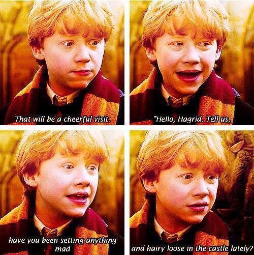 fakehogwarts's tweet photo. Ron always says it best. http://t.co/abJesOiKDZ