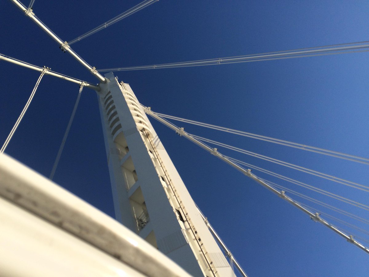 <a href="/socialstudiessf/">SOCIAL STUDIES</a> back in the Bay! Thanks everyone for this blast of a tour on the Best Coast. Miss you all already.