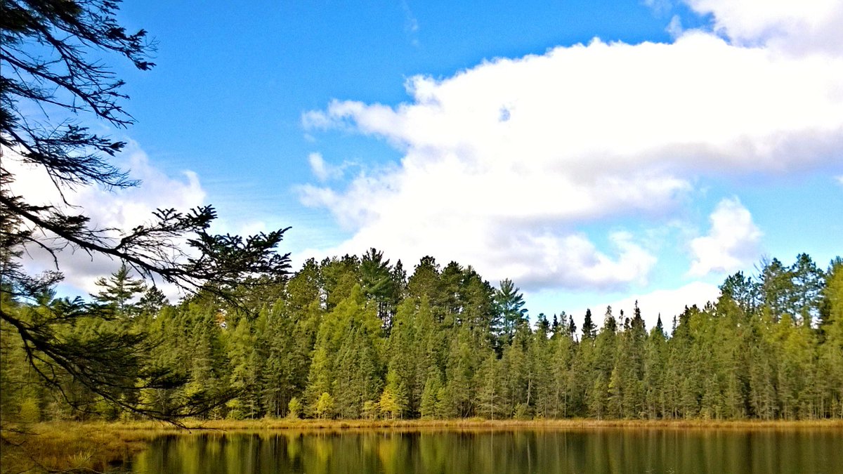 WanderBoth's tweet image. Offering couples in the Twin Cities area an affordable and calming getaway. Follow for promotions and giveaways!