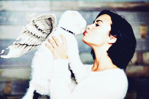 Loading_BadGirl's tweet image. , We are with you Demetria Stay stron,i love you much,much,much 😔💖 #Buddy 🐶 @ddlovato