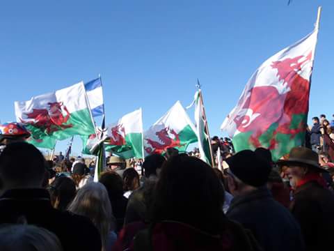 sioned_jones's tweet photo. Gwyl y glaniad... am ddiwrnod arbennig! http://t.co/KMswR2Vy6t