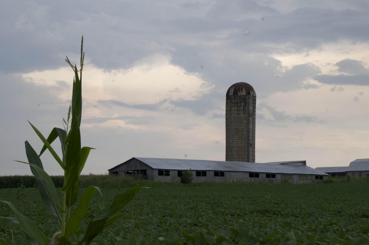 Couple more pics from the road today. TN is full of beauty.