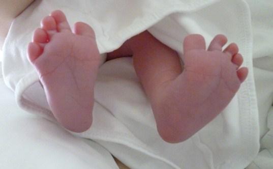 Lalu_punto's tweet photo. Hoy cumplís tus cuatros añitos.. Sos lo más puro que hay!!! Que Dios esté con vos siempre mi amor!!!! #FIlena http://t.co/SzMfC5yRy3