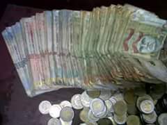 arica_andy's tweet photo. @3Cerditas http://t.co/q2Ze3ZrLCR