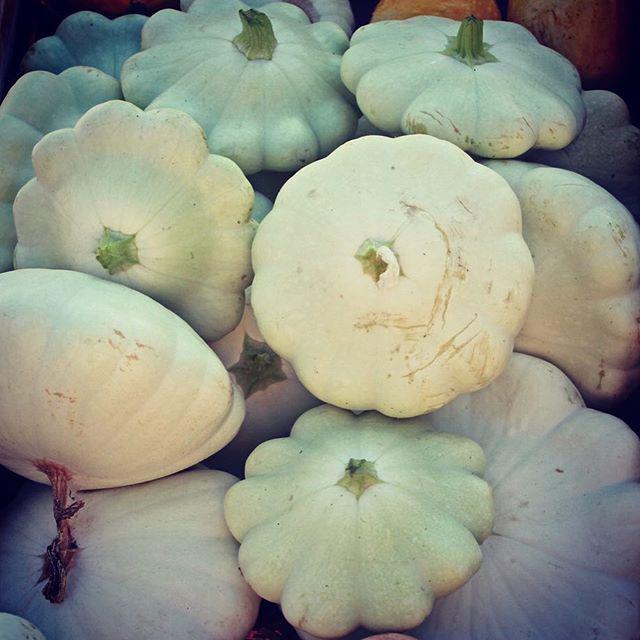 NValleyFoodHub's tweet photo. Patt-y-pan, Patt-y-pan, Patty-Pan! Guess I'm a little excited we've got Pattypan squash av… http://t.co/zcxsqMfwQW http://t.co/GjxzCVFfsk