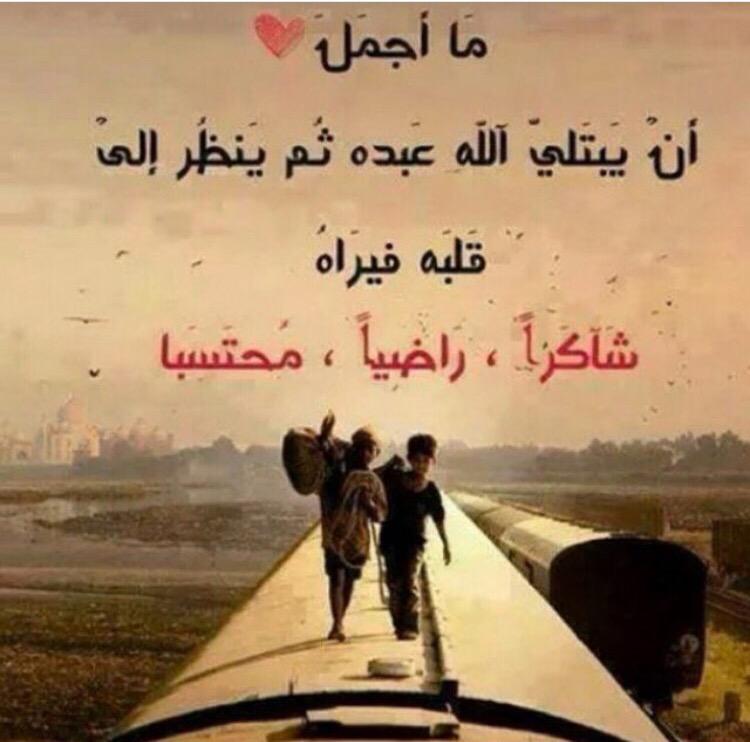saud_m7's tweet photo. #صباحكم_رضا http://t.co/ZtWOQTTADQ