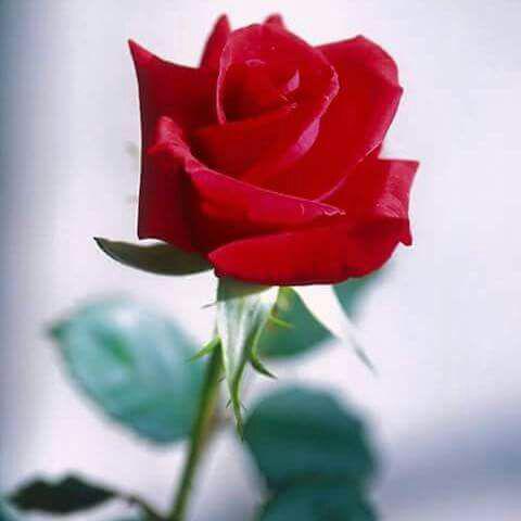 398593e9fc28429's tweet photo. http://t.co/PJdkzQ0KUu