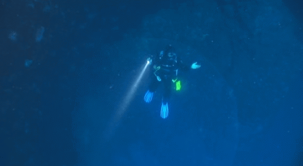 philpauley's tweet photo. Divers encountered a mysterious massive translucent blob the size of a car #Ocean #underwater http://t.co/hAKT2goNeQ http://t.co/bNsaXix1Ca