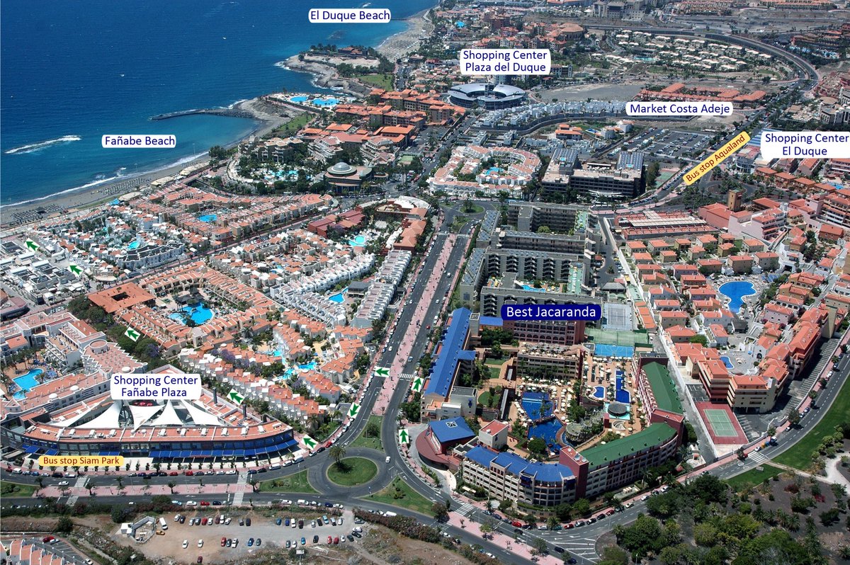 Best Jacaranda tweet media