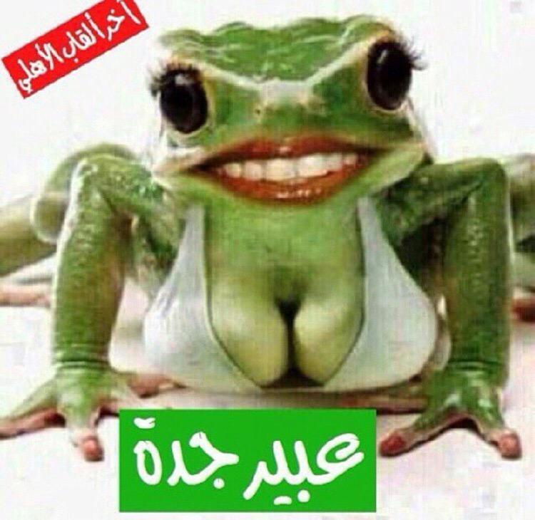 Yasserd20's tweet photo. @hsa194 http://t.co/myYJis5ntG
