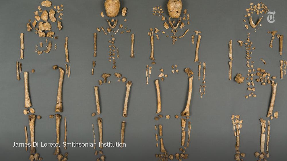 nytimes's tweet photo. Unearthing Jamestown, Virginia's lost leaders — and a secret http://t.co/DwqmAJPgWo http://t.co/paLd4353z2