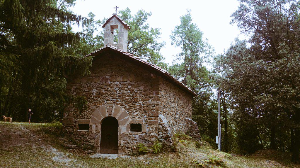 Turisme Vall Bas tweet media
