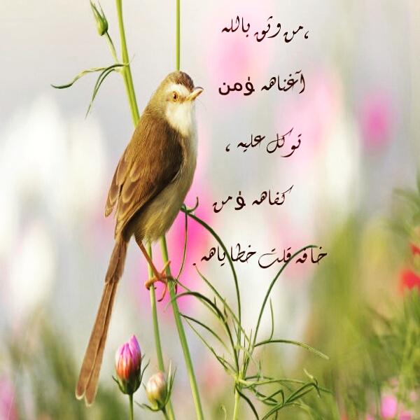FmFofo65's tweet photo. http://t.co/IO5jqaSKpp