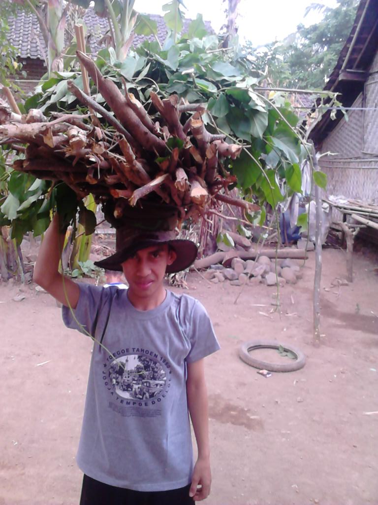 Azis950S's tweet image. Mahasiswa pulang ke kampung halaman ngarit lagi... Ini merupakan perjuangan untuk menuju kesuksesan