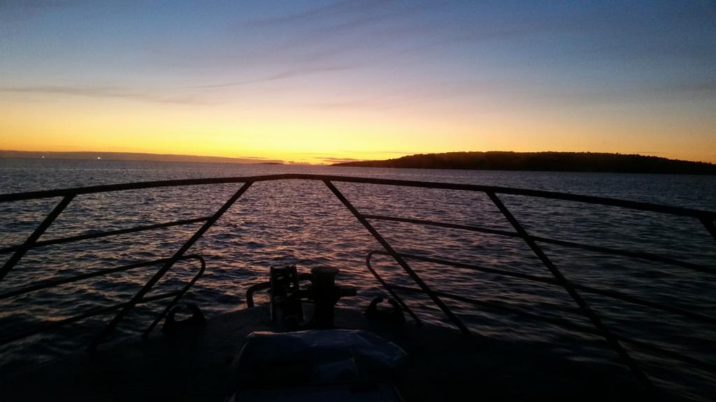 markmywords2's tweet photo. @SwannySA I'll see ur #adelaide and raise u a #Portlincoln sunrise too a great white adventure @Cage_Diving http://t.co/DEtwJxl81W