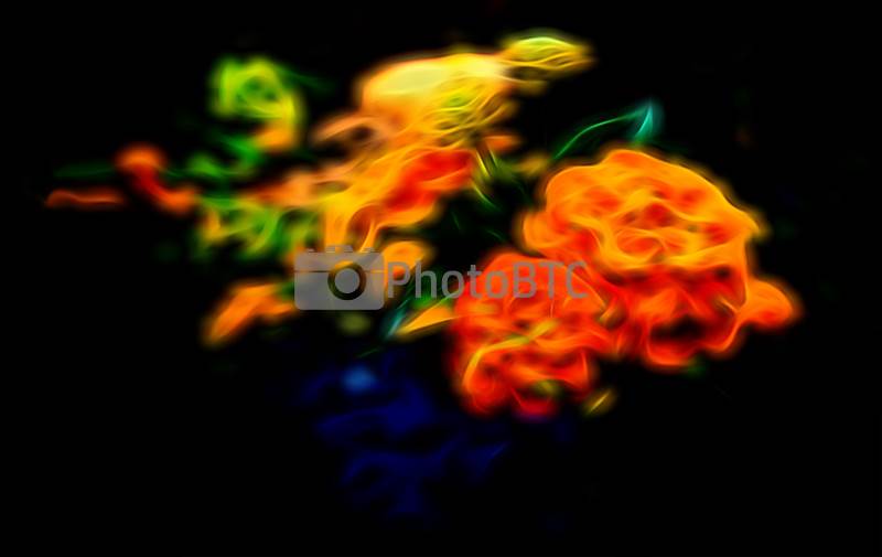 photobtc tweet picture