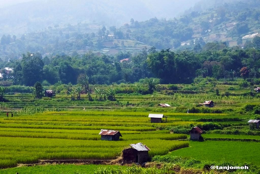 tanjomeh's tweet photo. Iko Kampuang Ambo Sungai Pua
@GNFI @indtravel @StevanyIFW @LetsGonesia @wisataminang  @WegoID @InfoRanahMinang http://t.co/ky2oHilwIF