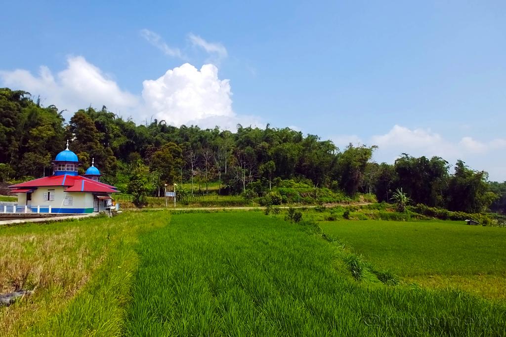 tanjomeh's tweet photo. Iko Kampuang Ambo Sungai Pua
@GNFI @indtravel @StevanyIFW @LetsGonesia @wisataminang  @WegoID @InfoRanahMinang http://t.co/ky2oHilwIF