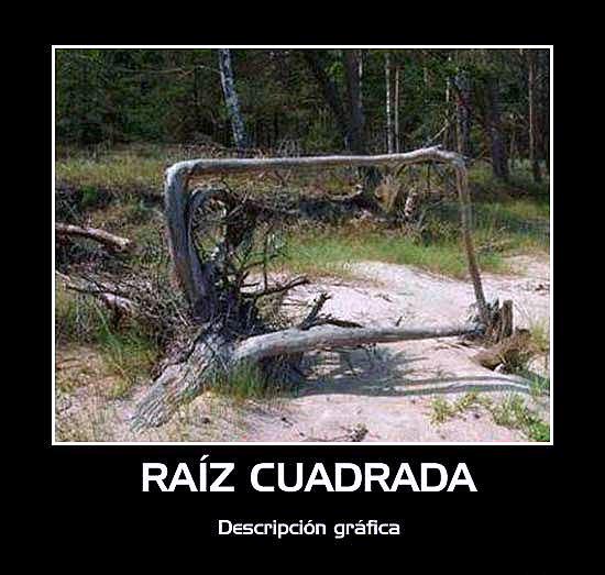 Decirles a mis profesores que ya encontre la raíz cuadrada, jajaja...