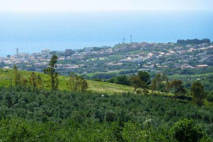Comune San Vincenzo tweet media