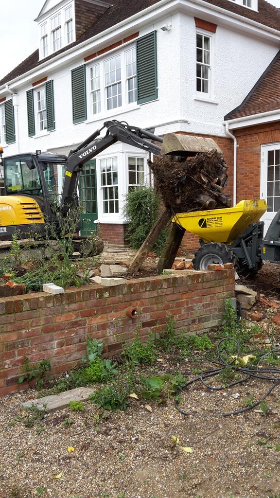 WildingDean's tweet photo. Monster stump http://t.co/GGSMBpTQP9