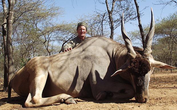 IanJamesPoulter's tweet image. Some of the other animals the American Walter Palmer has killed. We have to stop this horrific killing of animals.