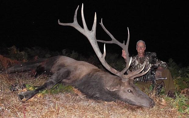 IanJamesPoulter's tweet image. Some of the other animals the American Walter Palmer has killed. We have to stop this horrific killing of animals.