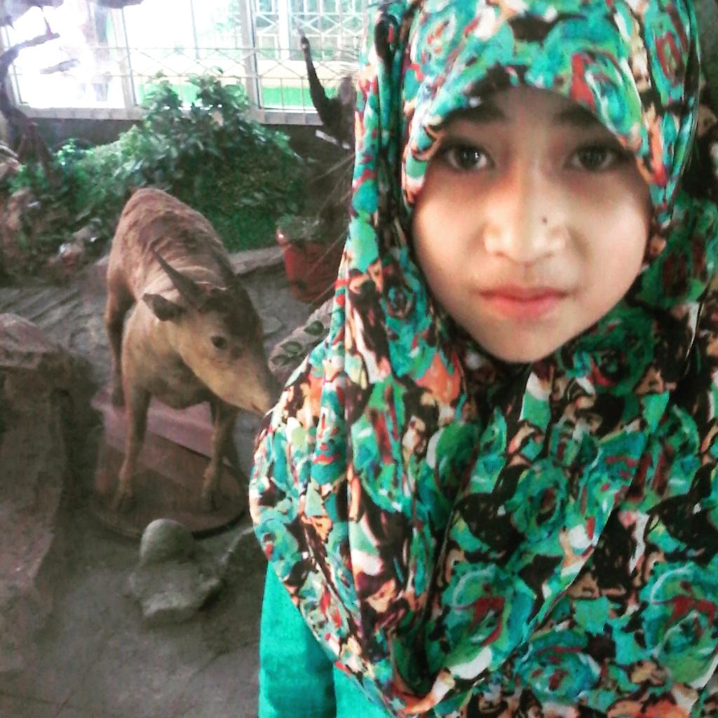 fiki-ano tweet media