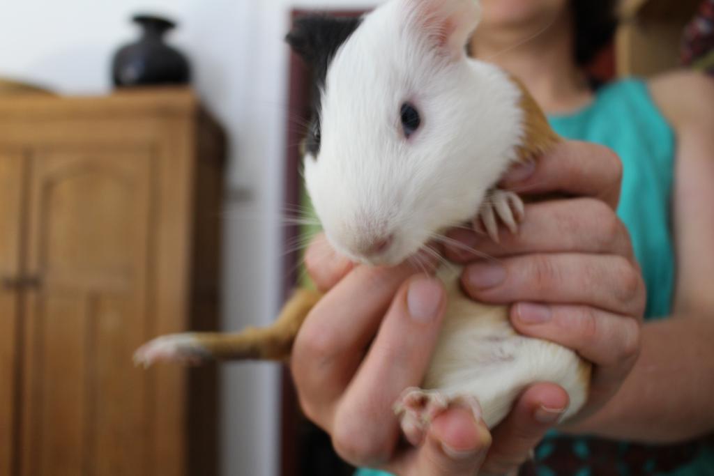 hotter than July rachelceramics.com/2015/07/29/hot…