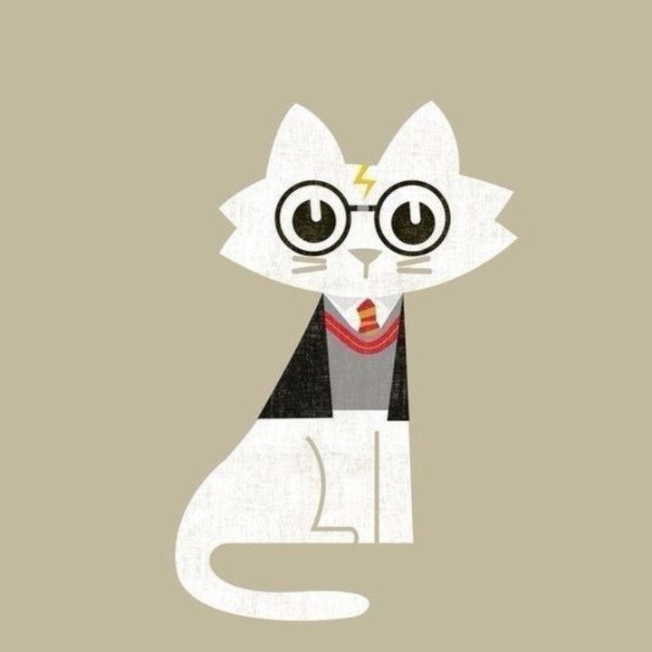 Anna Bloggers  (@anna_bloggers) on Twitter photo 