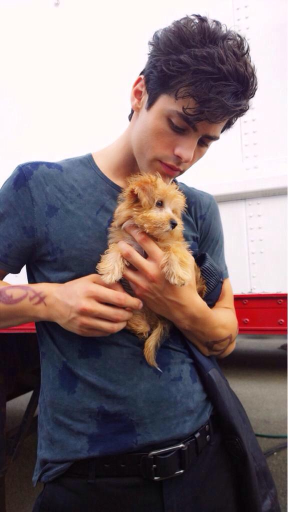 TMI_GreeceS's tweet image. #Shadowhunters If I was an animal I would like to be a dog..for many peason ....plus one now