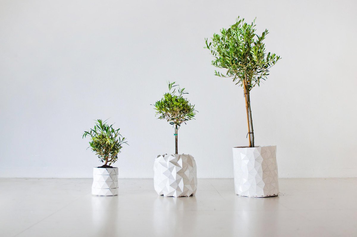 Weekiz's tweet image. #GROWTH, un pot de fleur « responsive » qui s’adapte à la croissance de la #plante goo.gl/eUrPq5