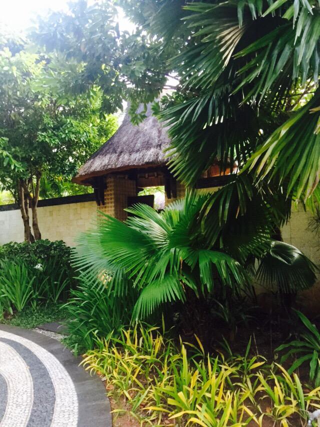 luoyucos's tweet photo. http://t.co/swqtYSnlVE