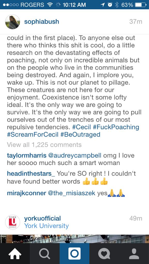 Cassidy_23's tweet photo. Couldn't have said it better myself #Cecil #ScreamForCecil @SophiaBush http://t.co/SV2lMZZeM6