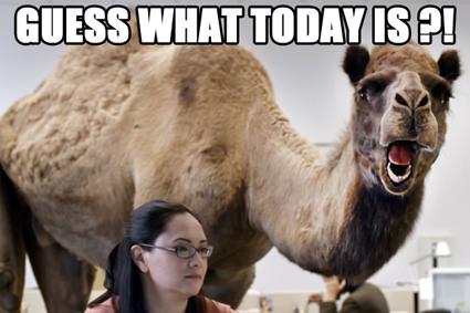 therallyapp's tweet photo. HUMP DAAAY #happyhumpday #MidWeekParty http://t.co/MqC27uFAJB