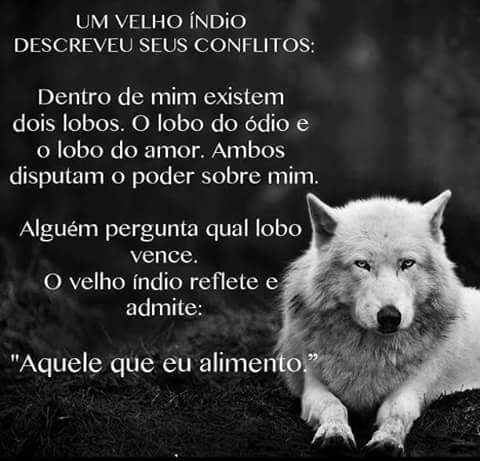 vilmatorres #timbeta (@torresvilma6) on Twitter photo 