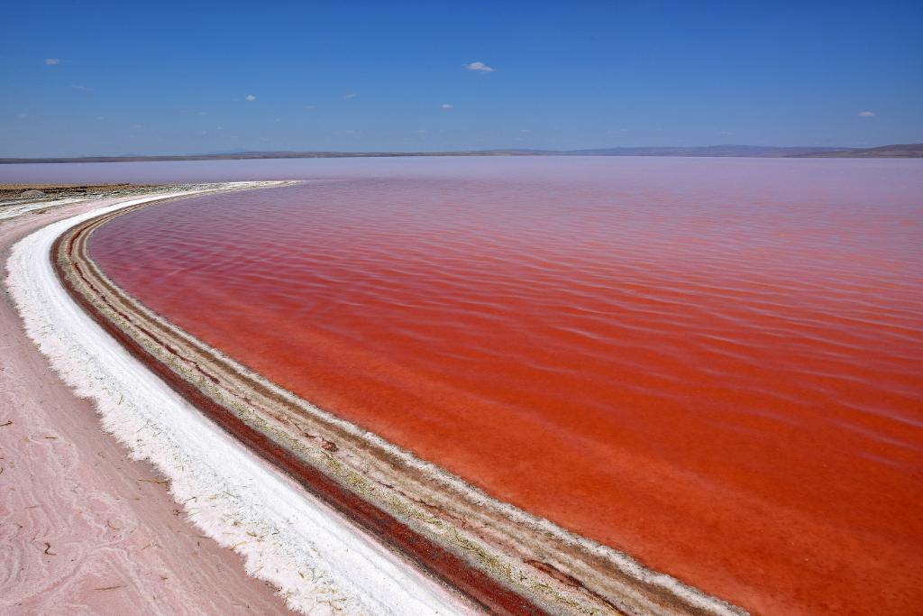 PopMech's tweet photo. Today in photos: a blooming micro-algae turns this salt lake red every summer in Turkey http://t.co/i8L5oBtzi7 http://t.co/k8fkRfZXyt