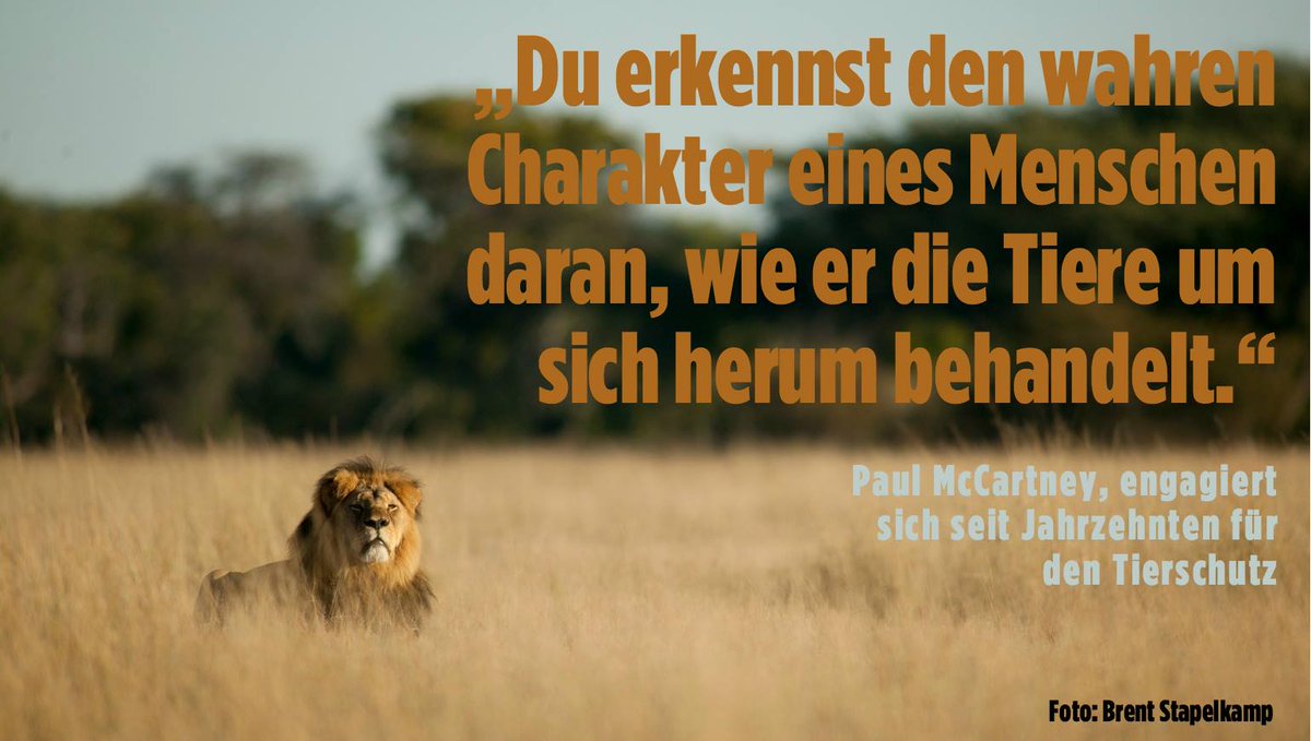 Get Den wahren charakter eines menschen For Android Free Den Wahren Charakter Eines Menschen