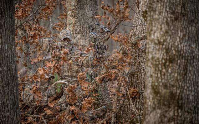 Realtree tweet picture