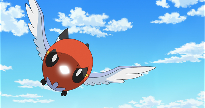 Flying Shell Pokemon Pokémon on Twitter: