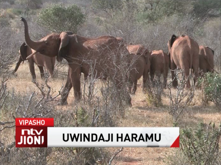 ntvkenya tweet picture