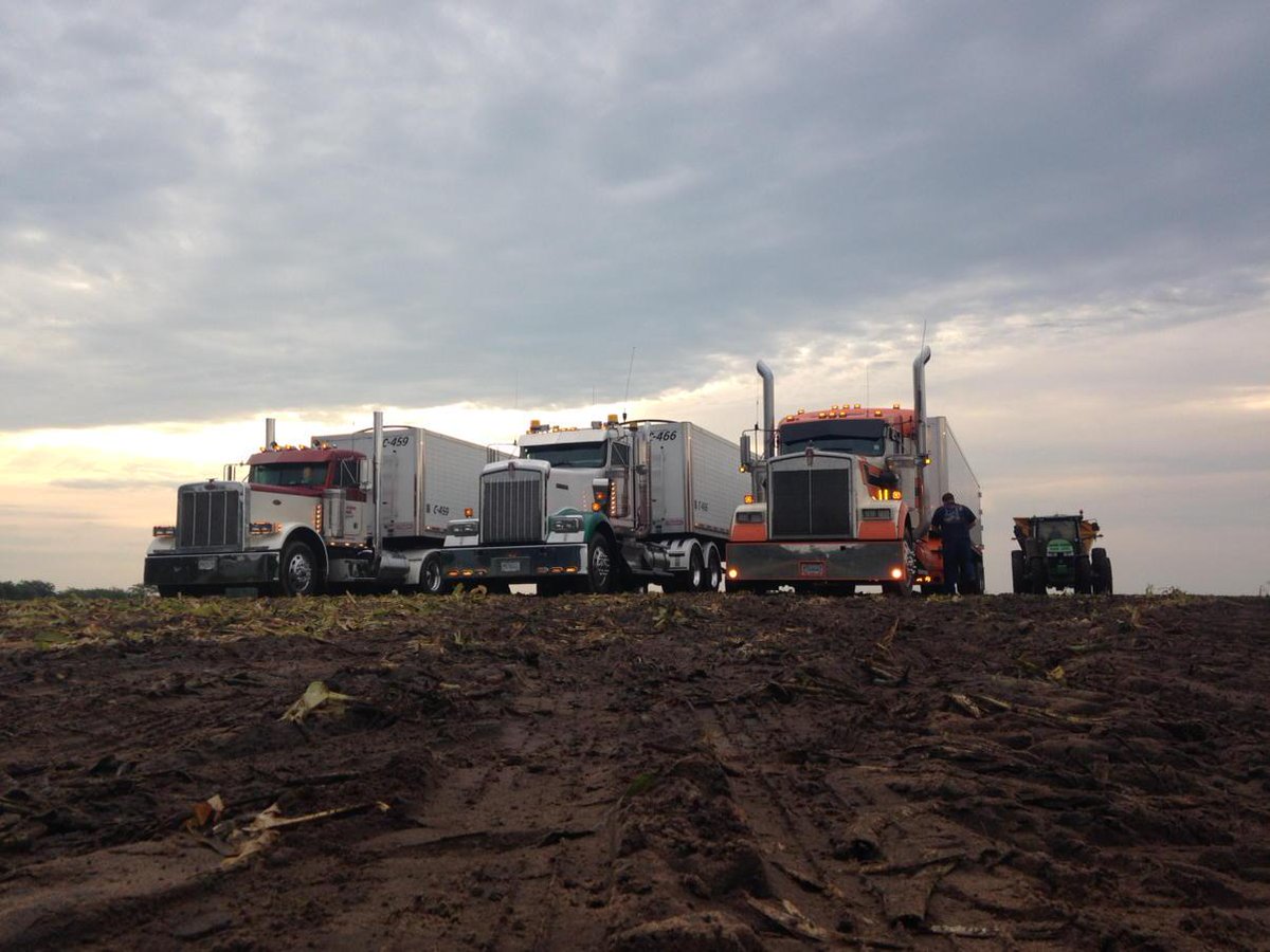 ihlss666's tweet photo. Sweet corn Cadillacs http://t.co/AHKtF8ExOa