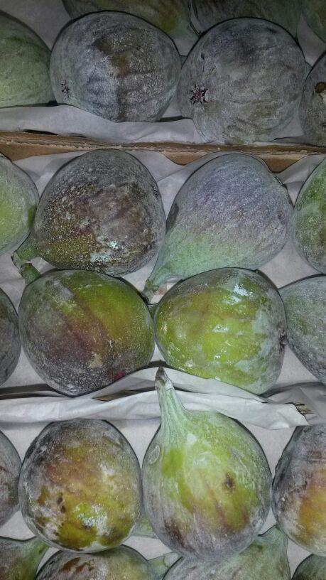 DuggansFV's tweet photo. Sweet, fragrant figs: versitile little fellas as this haul of fab recipes shows! http://t.co/1nr0D6D72e http://t.co/xeFU9O0ArM