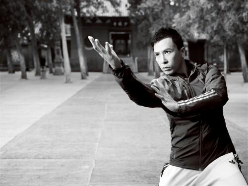 Happy Birthday Donnie Yen! Badass guy (better late than never) 